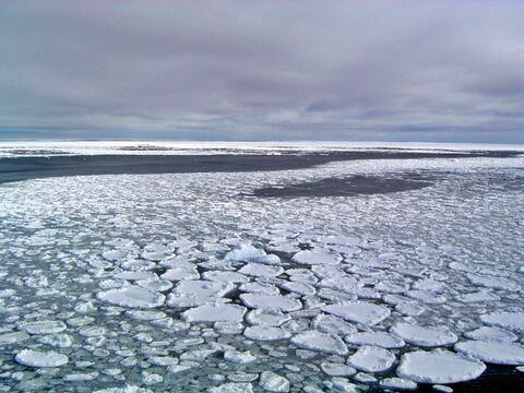 La cantidad de hielo que circula alrededor de la Antártida se redujo a su mínimo histórico