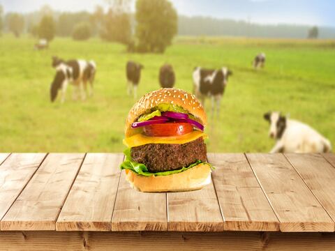 La carne artificial llegaría al mercado dentro de tres años
