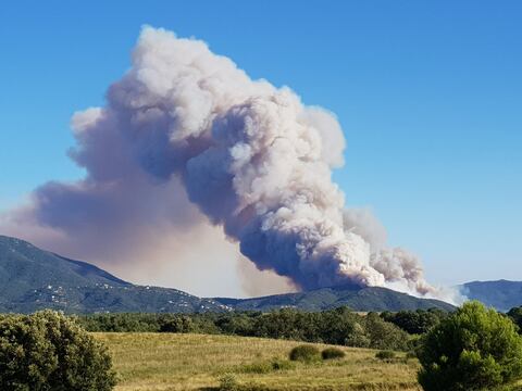 Violento incendio forestal en la frontera franco-española, 130 hectáreas quemadas