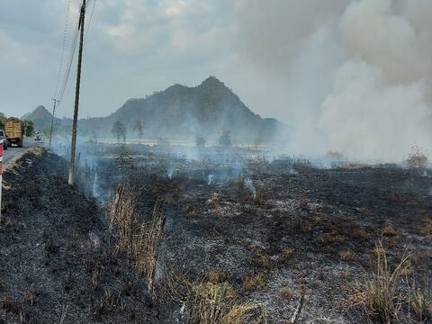 Continúan las labores para extinguir incendio en reserva Manglares Churute, en Guayas