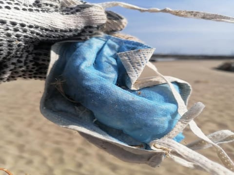 COVID-19 agrava la lucha contra marea de plásticos que impacta a especies y océanos