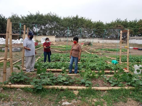 Se retoma programa de huertos orgánicos en varios sectores de Guayaquil