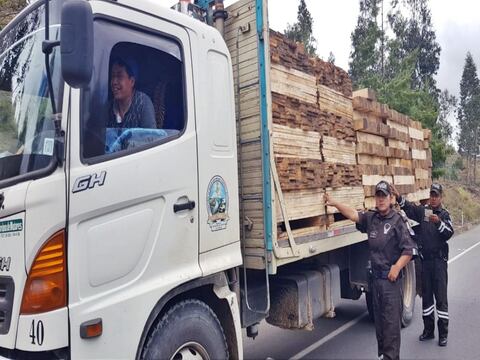 Decomisan cerca de 20 metros cúbicos de madera ilegal en Tungurahua y Chimborazo