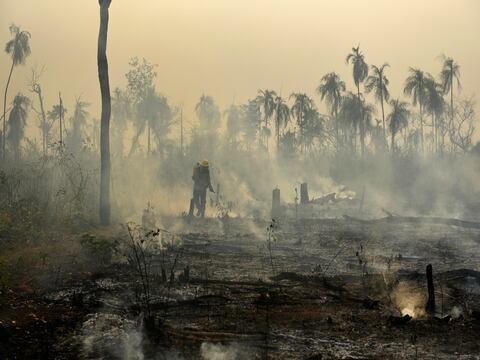 Deforestación en Brasil se acelera en el gobierno de Jair Bolsonaro