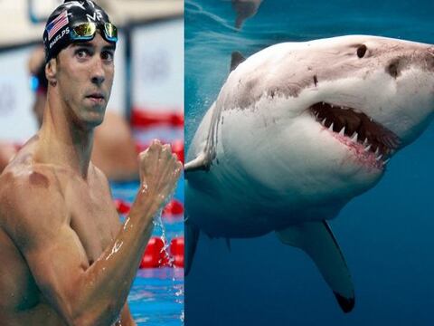 Michael Phelps nadó contra un tiburón blanco en Sudáfrica