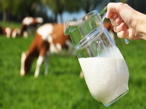 La leche de soya y de almendras no serán catalogadas como ‘leche’ en EE.UU.