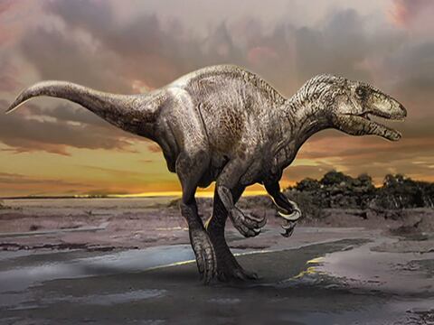 Descubren en Argentina nuevo dinosaurio "Gigante Ladrón"