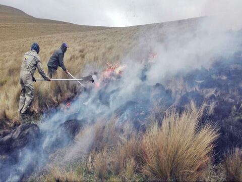 Diez hectáreas de páramo afectadas por incendio en Reserva de Chimborazo