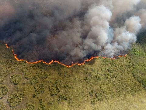 Incendio destruye 600 hectáreas de una reserva de biosfera en México