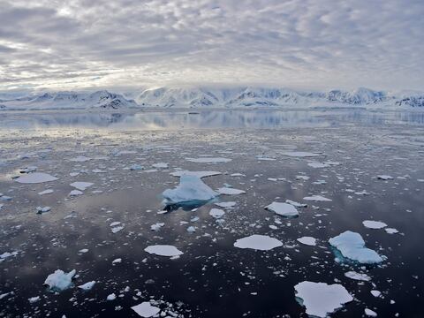 Turismo, pesca, estaciones científicas y cambio climático son las principales amenazas de la Antártida