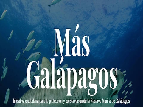 Ampliación de Reserva Marina de Galápagos no afectaría a pesca nacional, afirman organizaciones