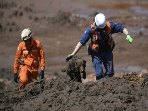 Sube a 115 el número de muertos por desastre minero en Brasil