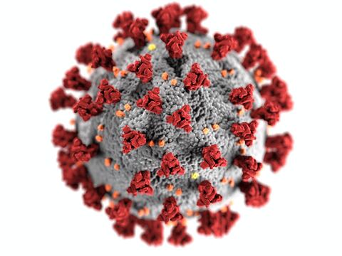 Lo que se sabe de la variante brasileña del coronavirus 