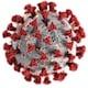 Lo que se sabe de la variante brasileña del coronavirus 