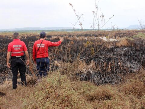 Diez hectáreas del humedal La Segua fueron afectadas por incendio forestal