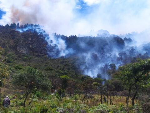 Casi un centenar de hectáreas de bosque nativo fueron afectadas por incendio en Chilla, provincia de El Oro