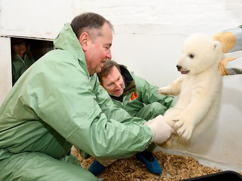 Zoológico de Berlín presenta a osita polar recién nacida