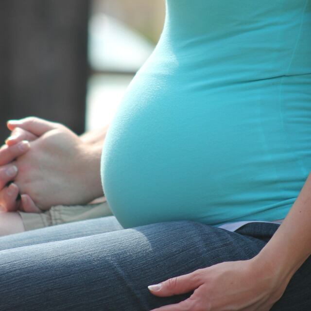 El timo, un órgano fundamental para lograr un embarazo saludable, según un nuevo estudio