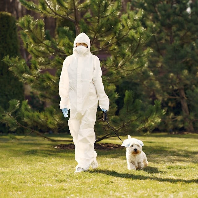 Coronavirus en Canadá: Mujer le pone una correa de perro a un hombre y lo saca a pasear para eludir el toque de queda