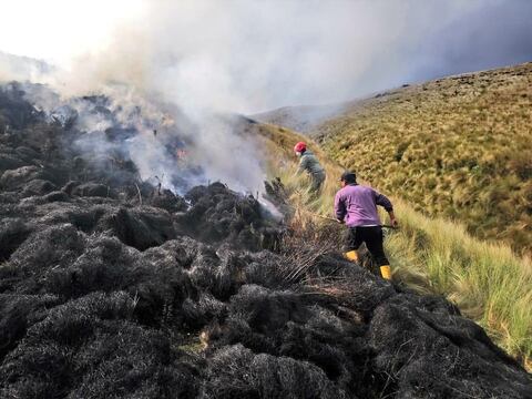 Diez hectáreas de reserva ecológica de Cotopaxi fueron afectadas por incendio