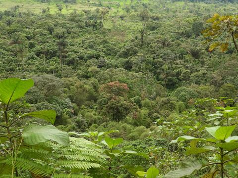 ¿Por qué Ecuador es uno de los países con mayor biodiversidad del planeta?