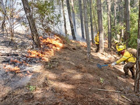 Chile lucha al mismo tiempo contra incendios forestales e inundaciones 