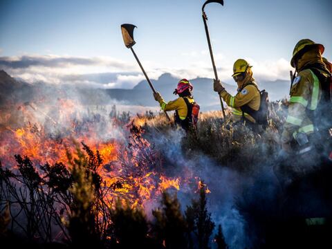 Fuego arrasa con bosques y áreas protegidas de Ecuador; 75 % de incendios los provoca el hombre