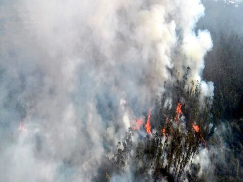 Bomberos de Quito combaten incendio forestal en el sector de Nayón