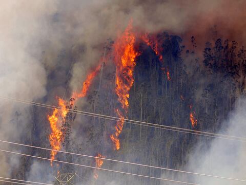 En marcha planes contra incendios forestales en Quito