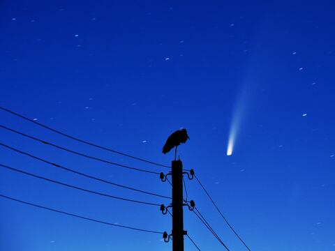 El máximo acercamiento del cometa Neowise a la Tierra ocurrirá el 23 de julio; será visible desde Ecuador