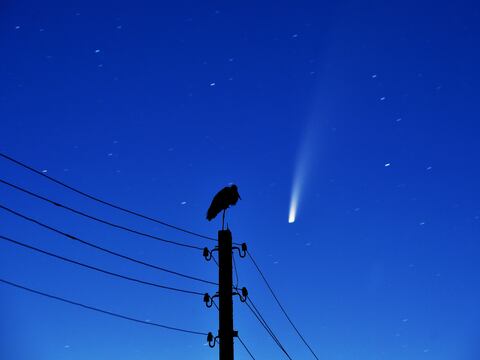 El máximo acercamiento del cometa Neowise a la Tierra ocurrirá el 23 de julio; será visible desde Ecuador