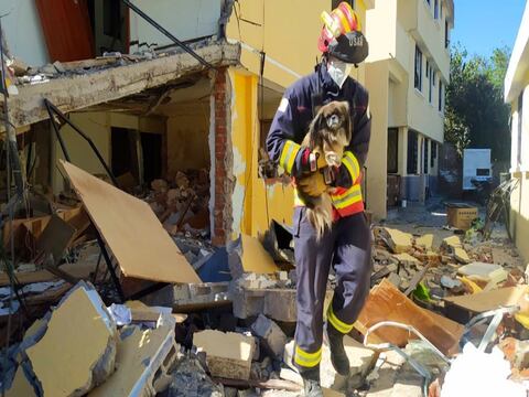 Un gato y un perro son rescatados entre los escombros de explosión en Cumbayá