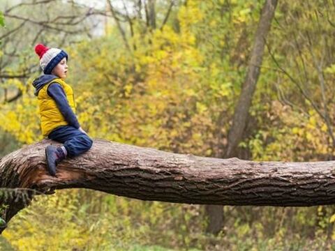Estar rodeado de espacios verdes en la infancia puede mejorar la salud mental en la edad adulta