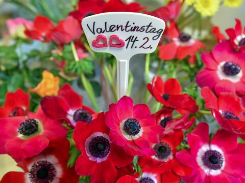 ‘All you need is love’, dice la Policía alemana en San Valentín