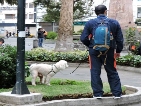 Inició campaña en Ambato para recoger desechos de mascotas