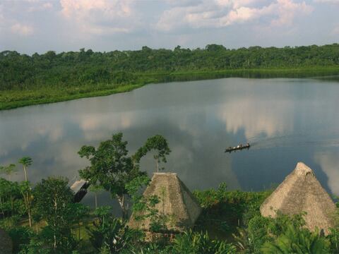 Gran parte de la selva amazónica en riesgo de convertirse en sabana, según estudio
