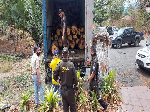 Detienen camión que transportaba madera talada ilegalmente en la reserva Manglares Churute