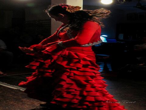 'Romería flamenco' llega con bailes y cantes esta noche